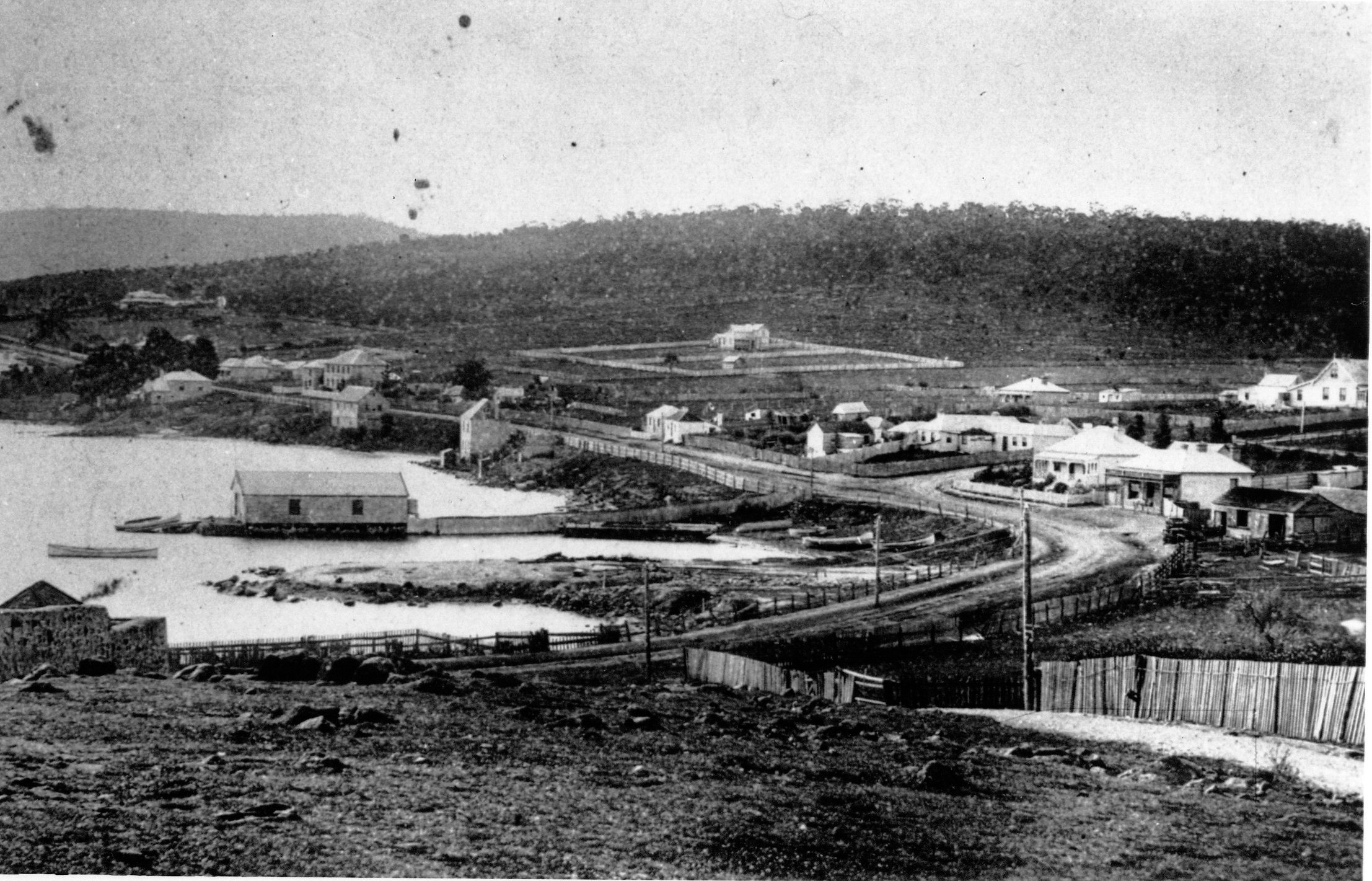 Full-size image