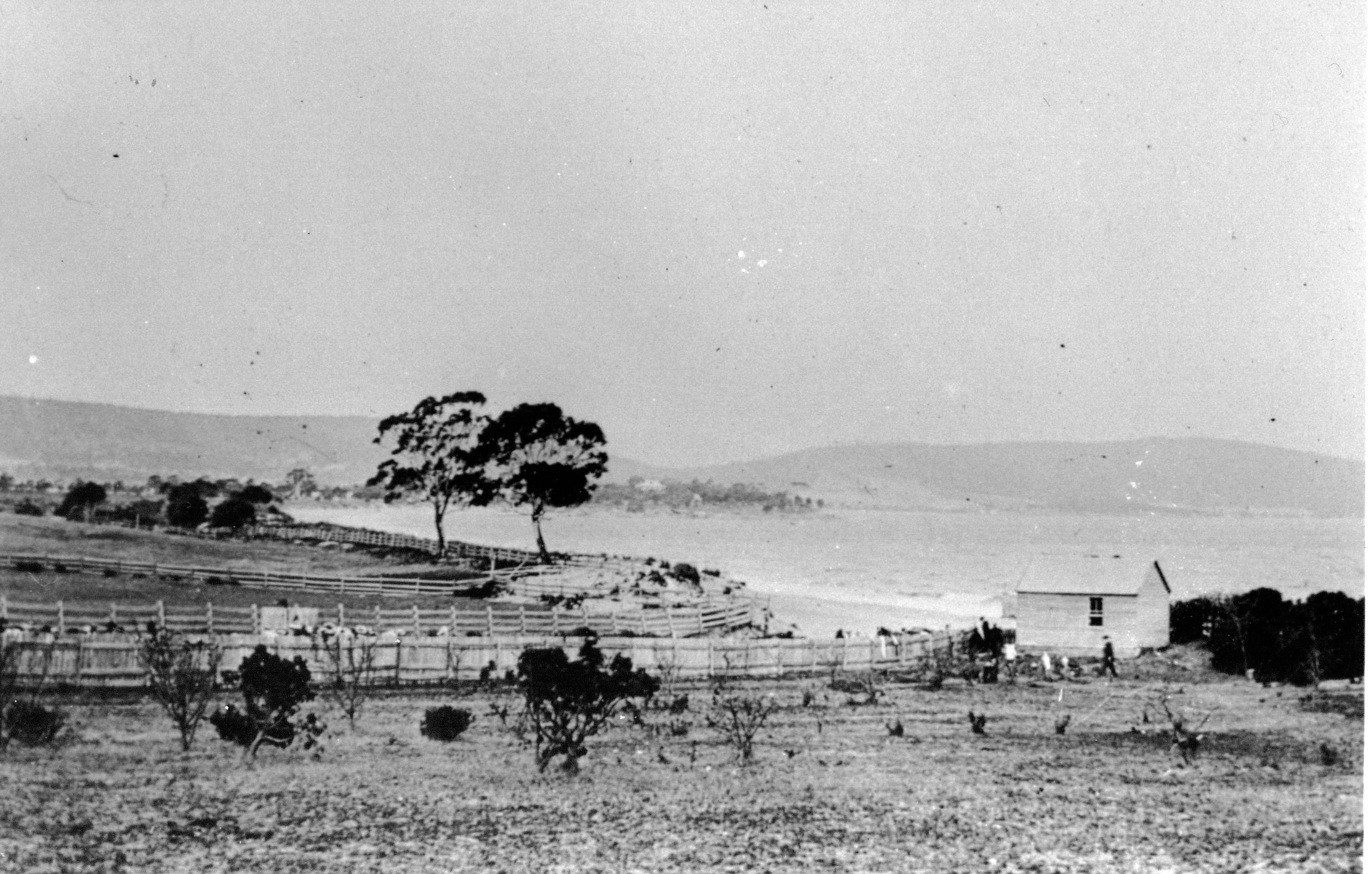 Full-size image