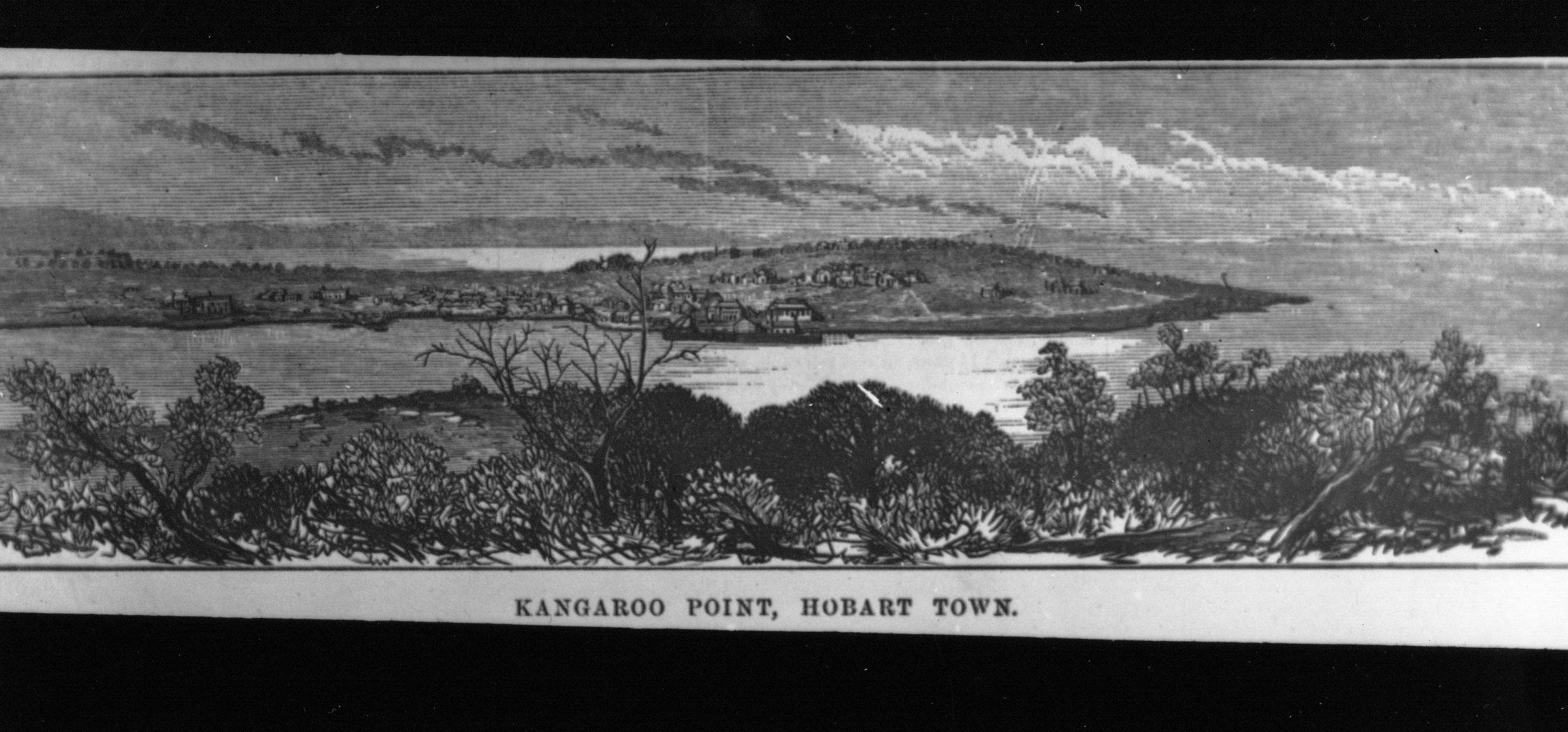 Full-size image