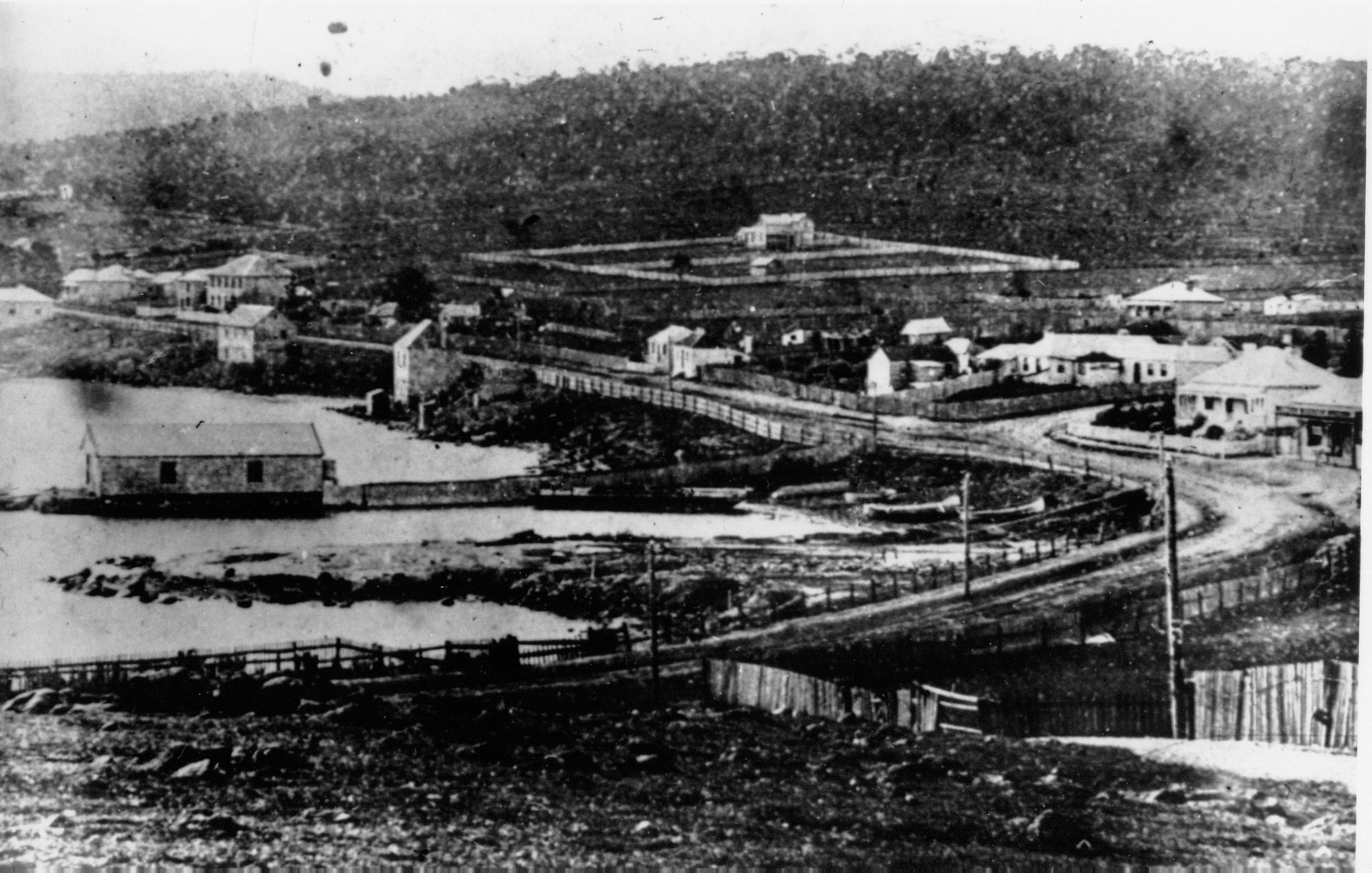 Full-size image