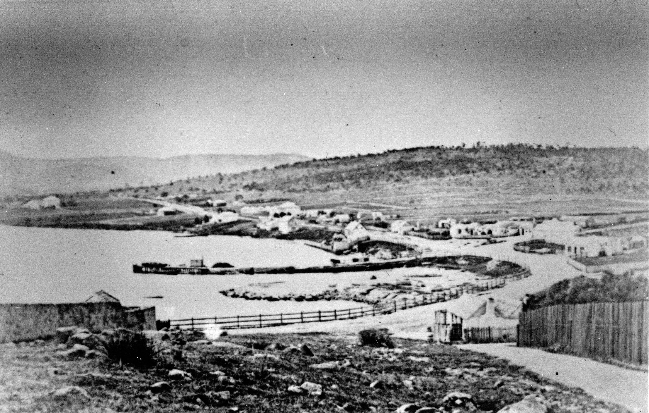 Full-size image