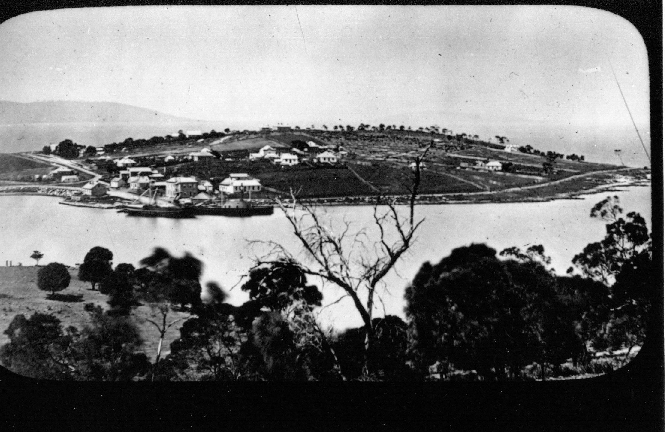 Full-size image