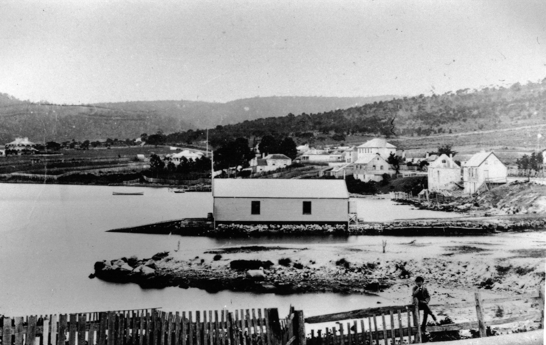 Full-size image