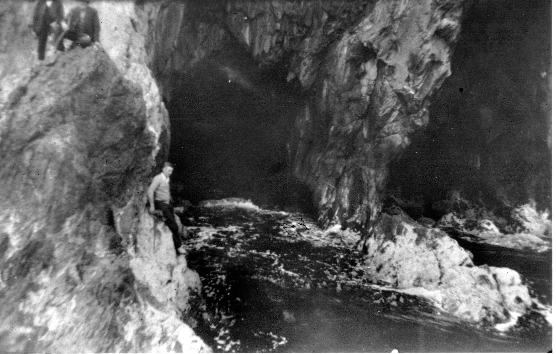Full-size image