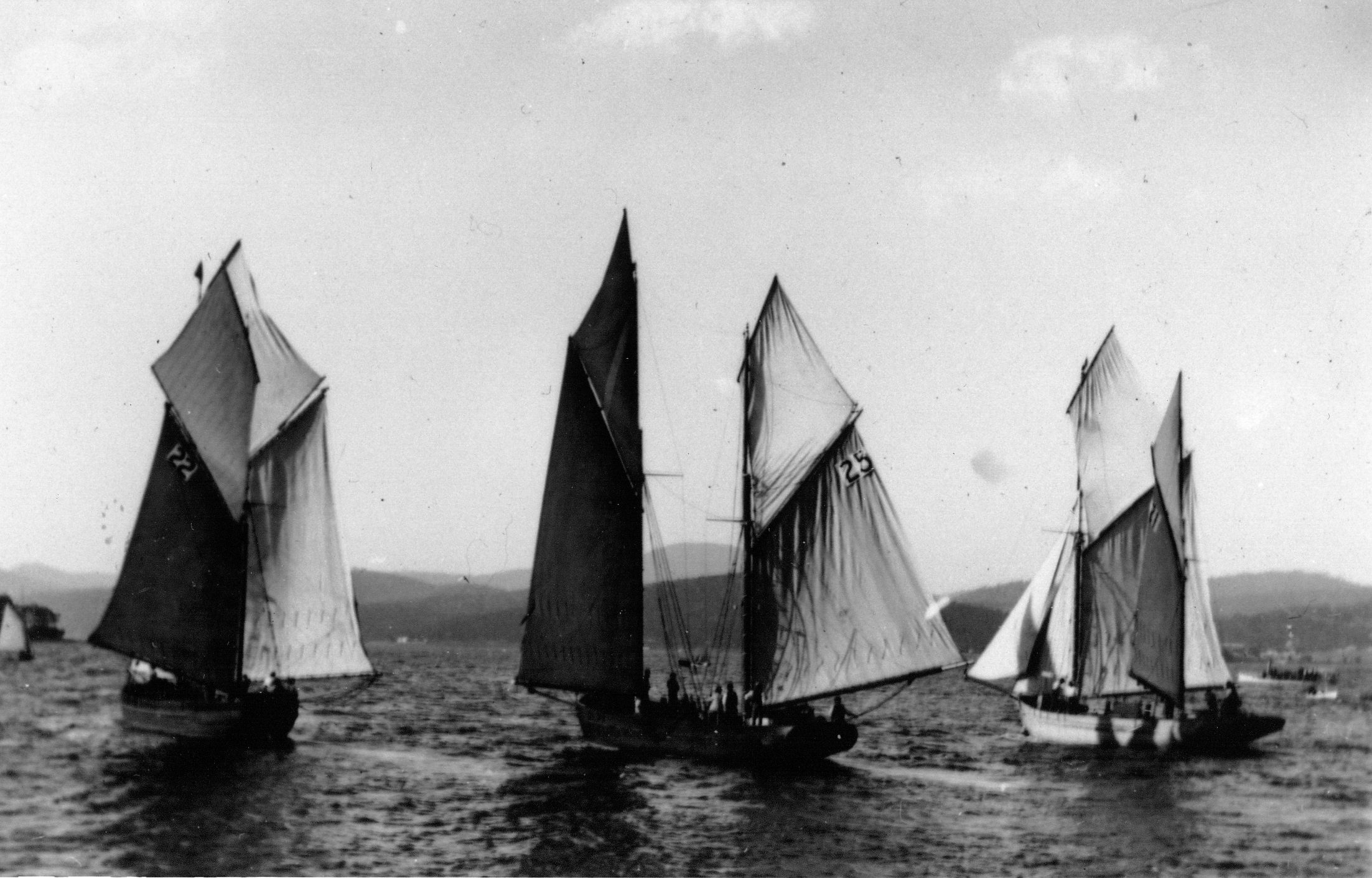 Full-size image