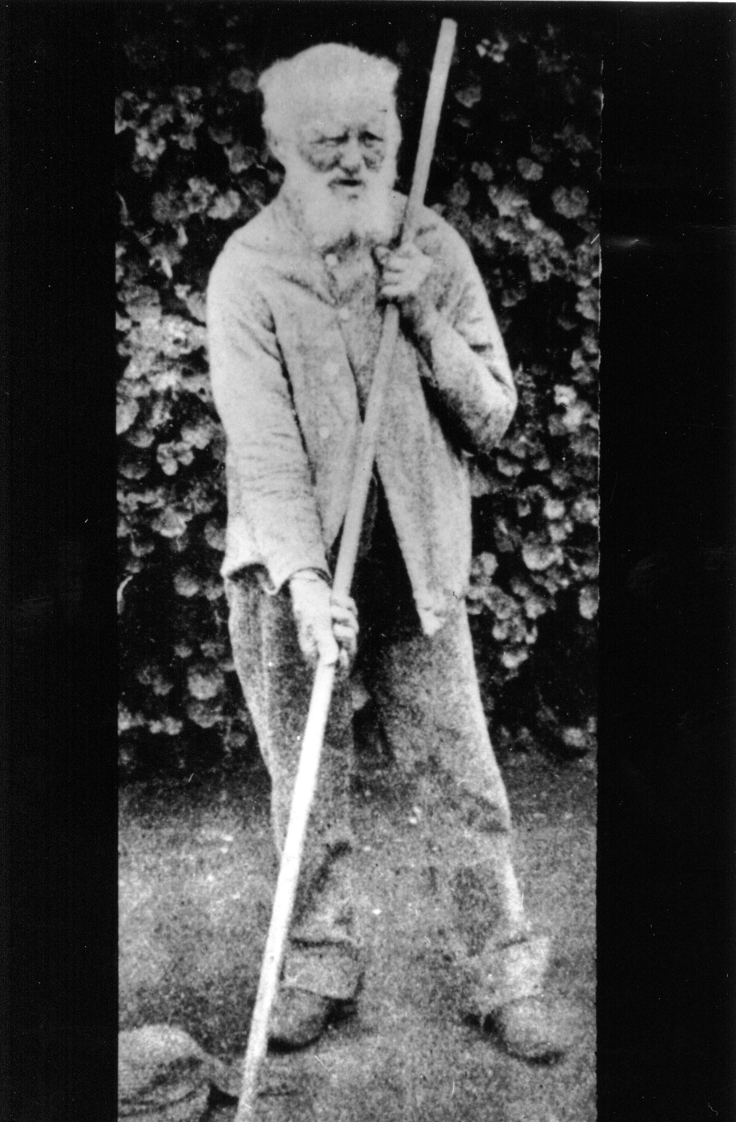 Full-size image