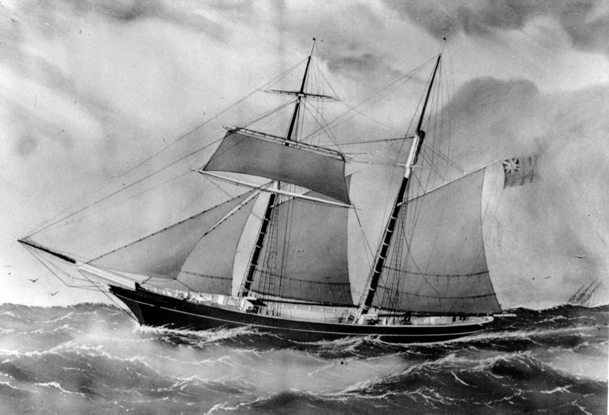 Full-size image