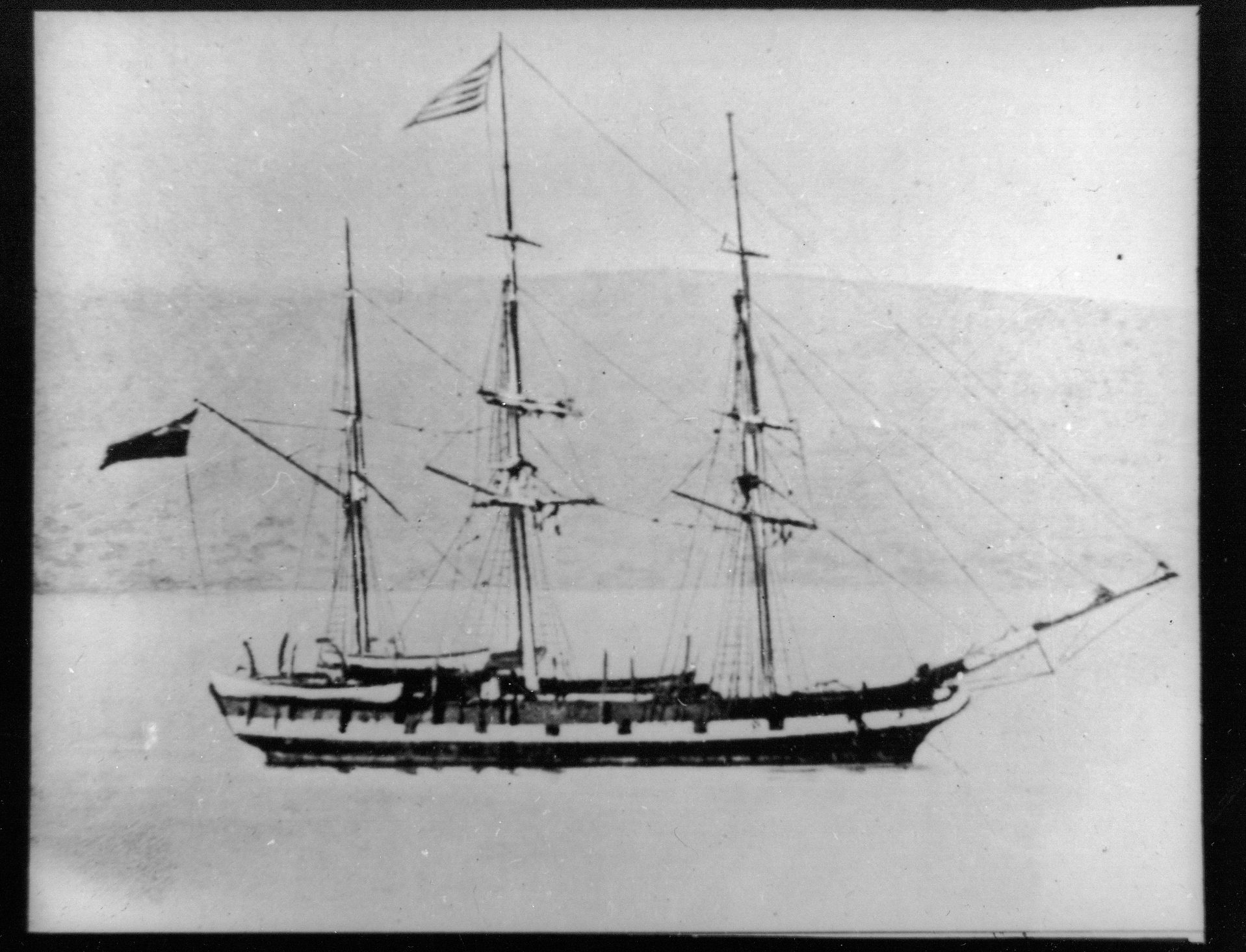 Full-size image