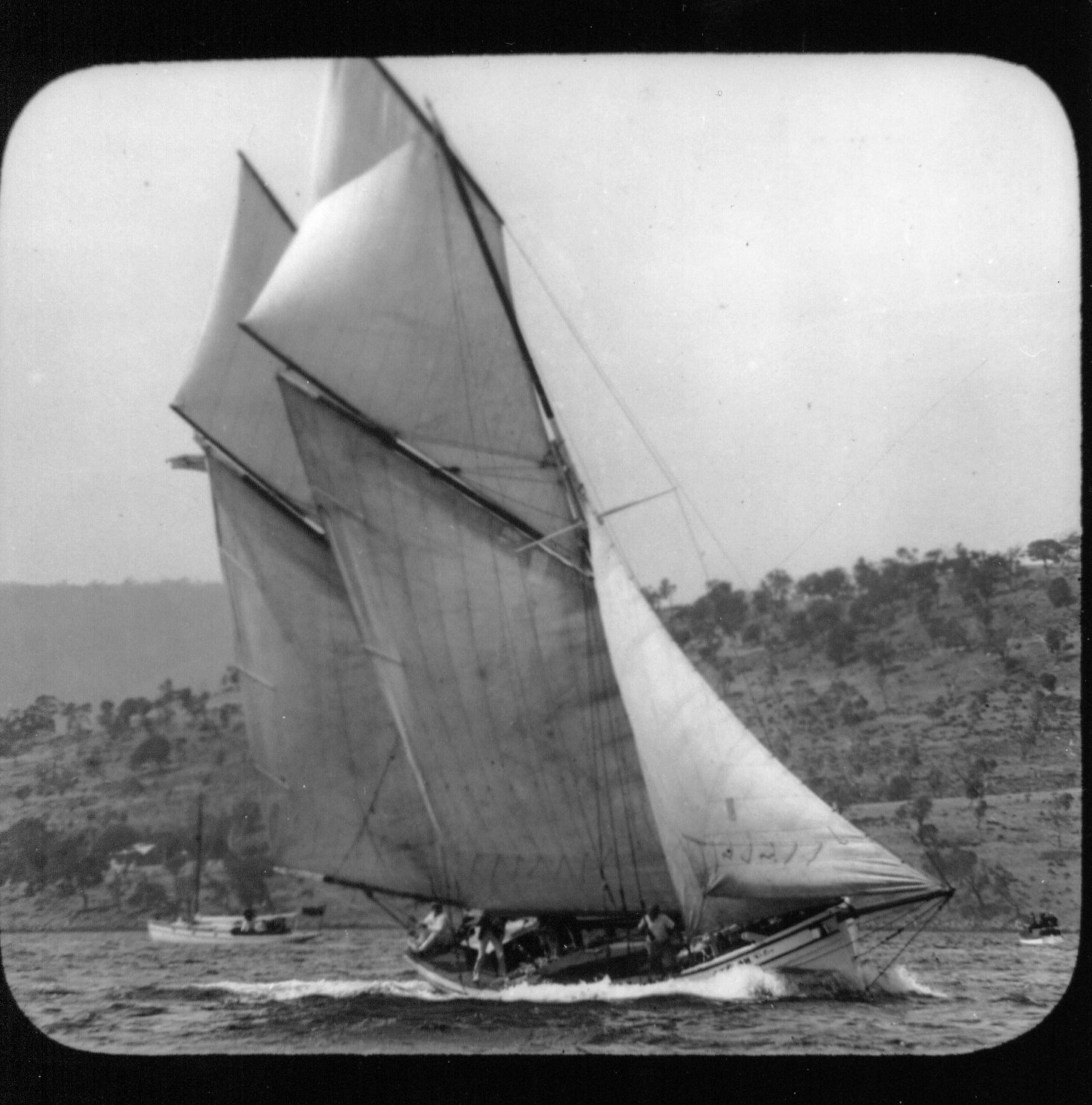 Full-size image