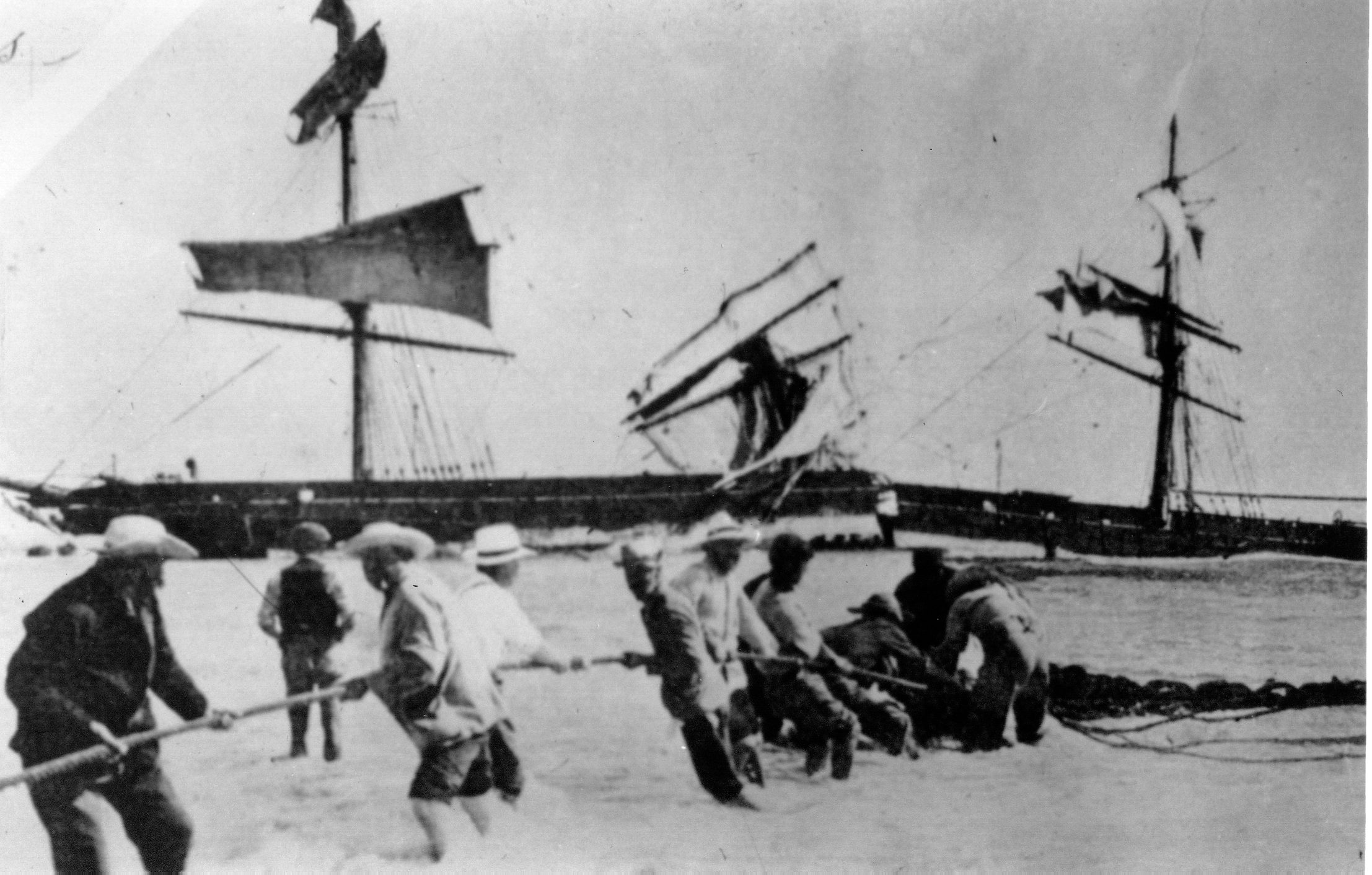 Full-size image