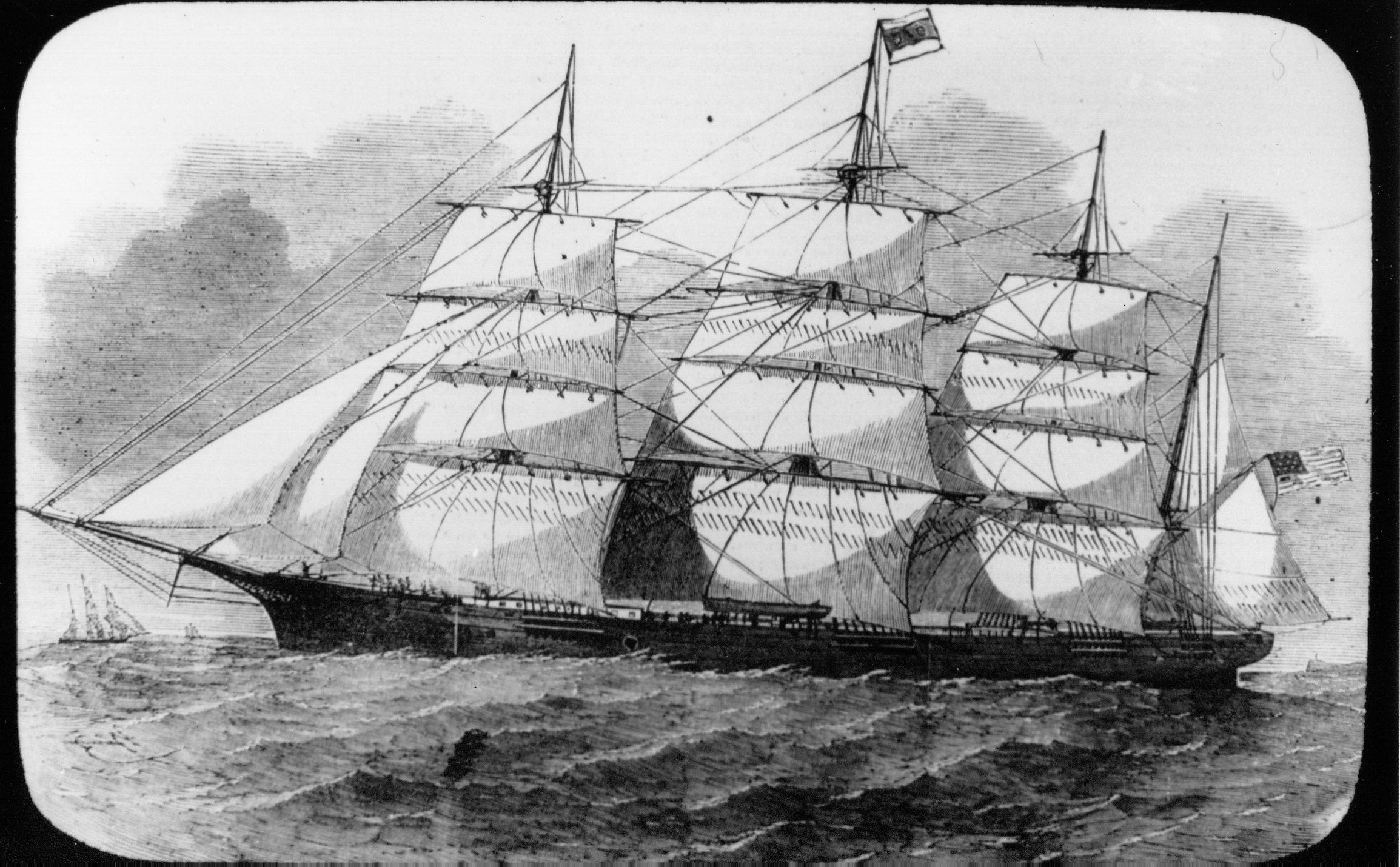 Full-size image