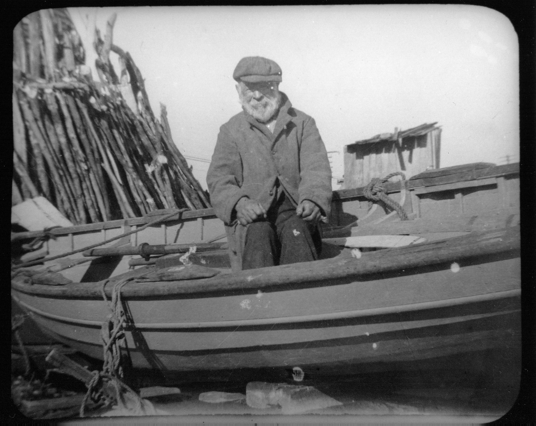 Full-size image