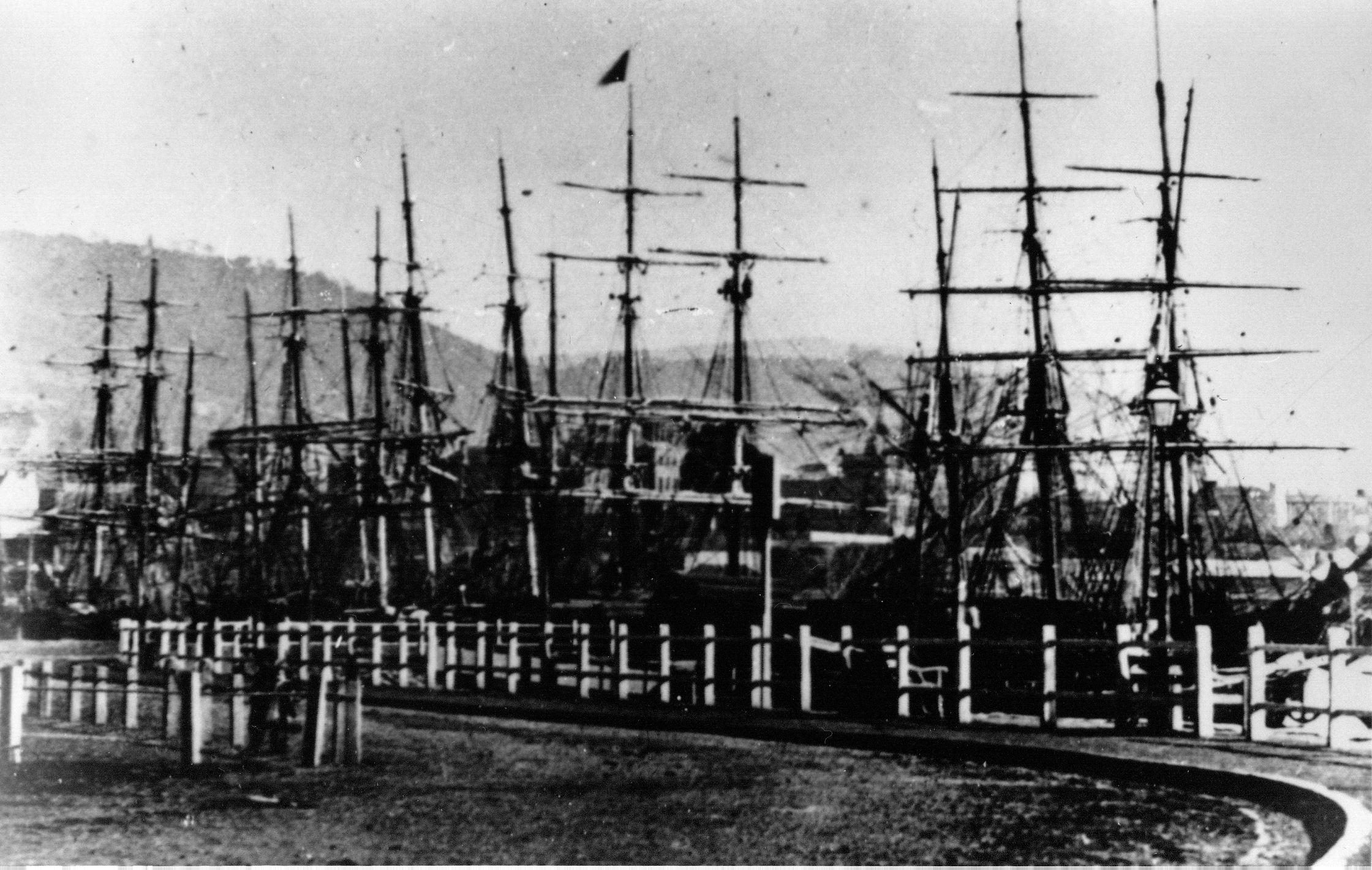 Full-size image