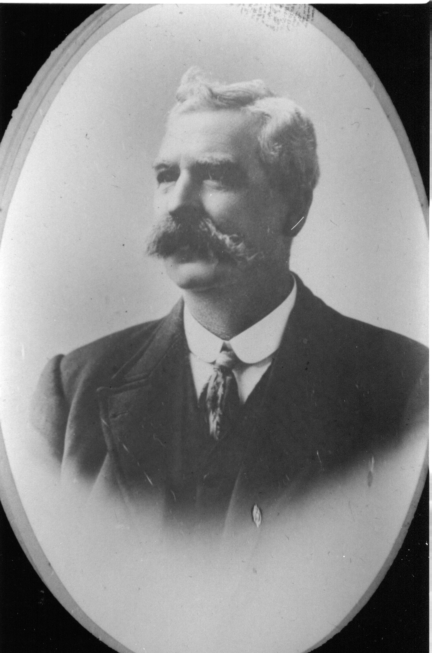 Full-size image