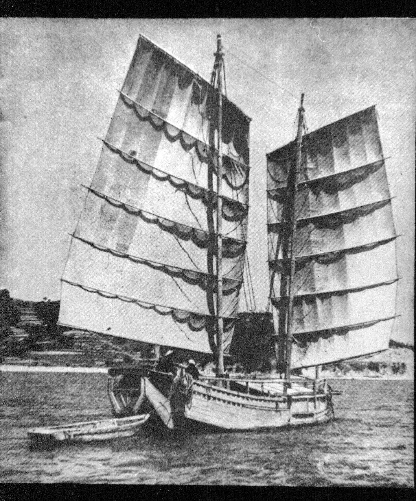 Full-size image