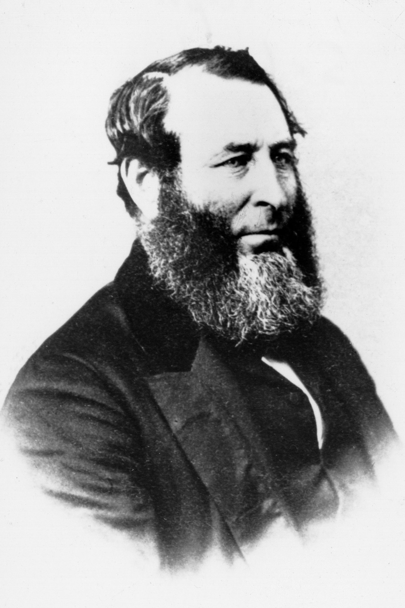 Full-size image