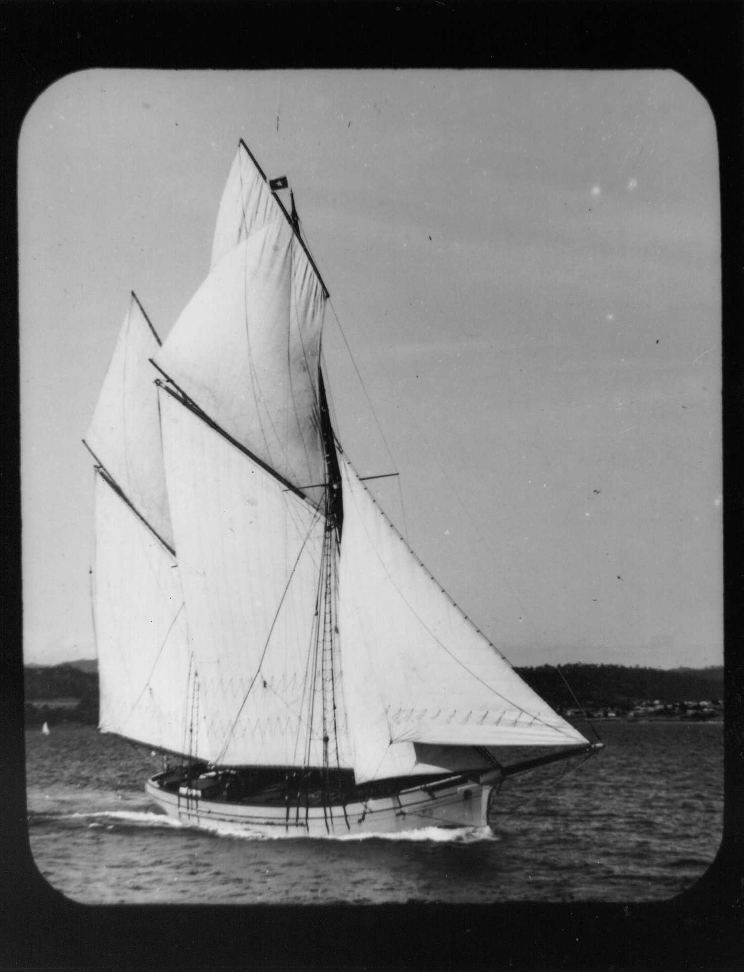 Full-size image