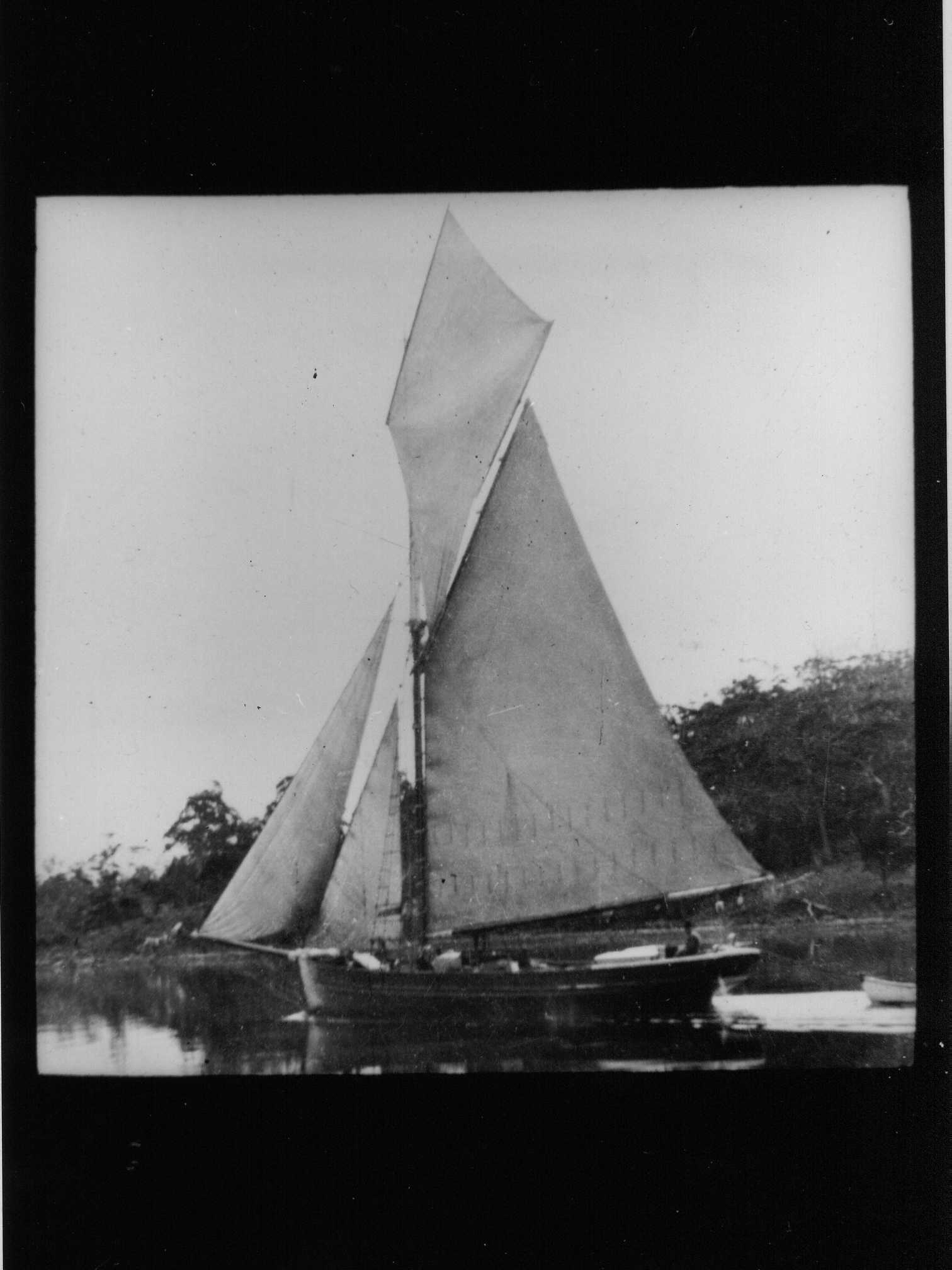 Full-size image