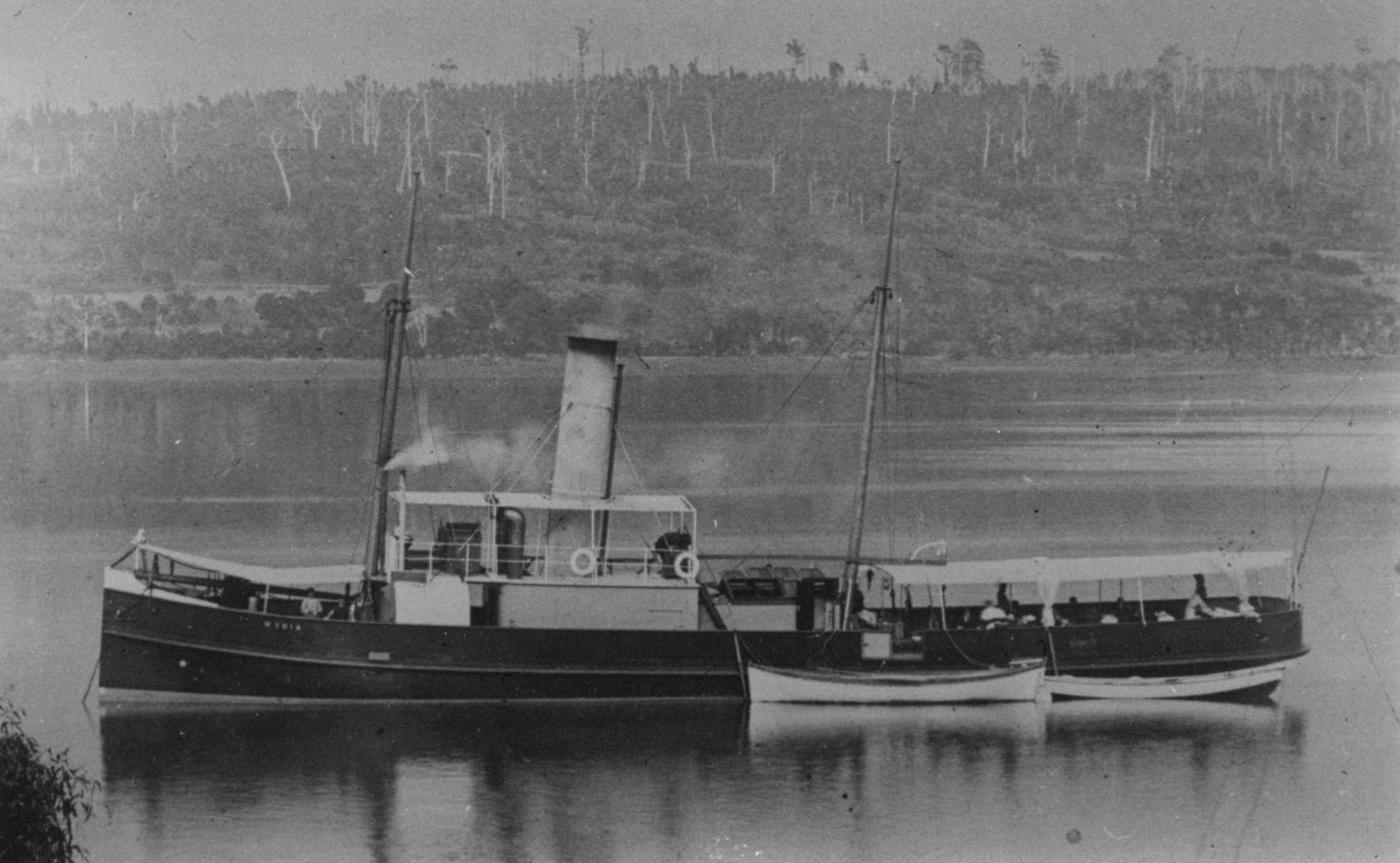 Full-size image