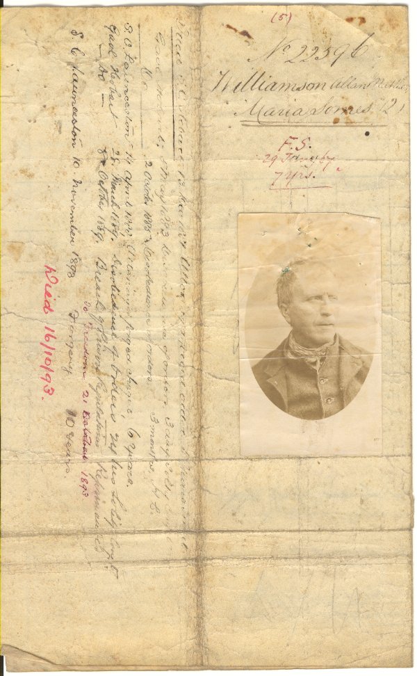 Full-size image