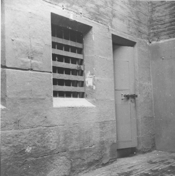 Full-size image