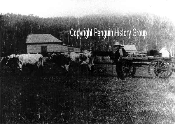 Full-size image