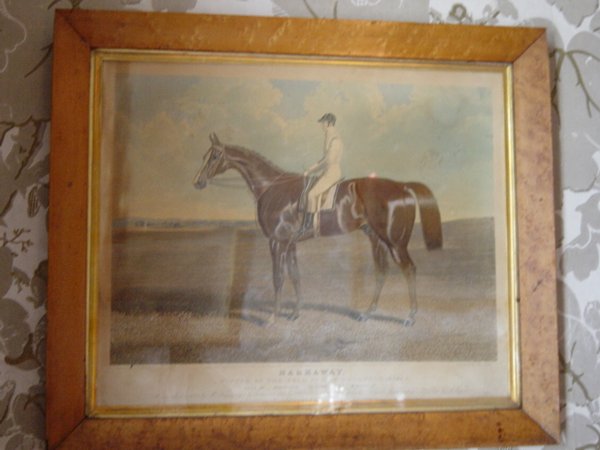 Full-size image