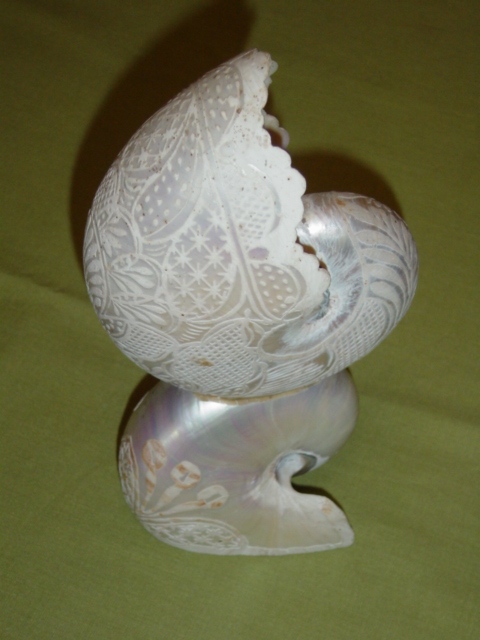 Full-size image