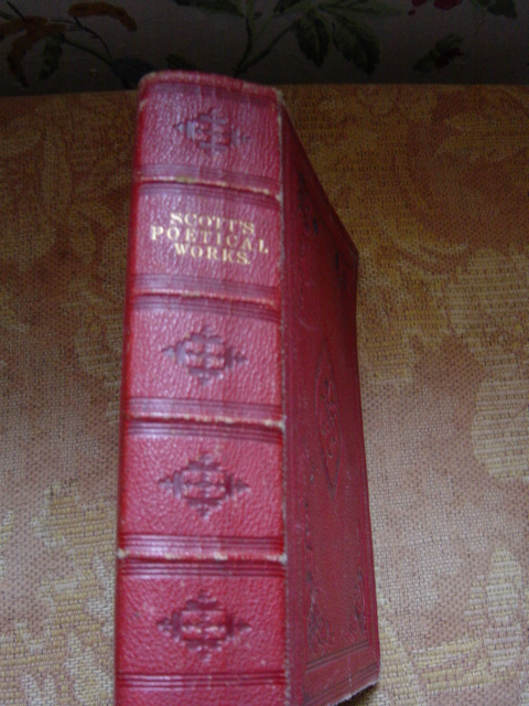 Full-size image