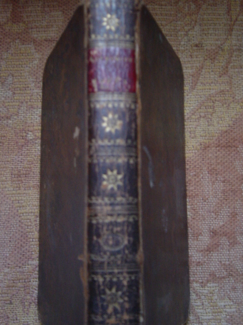 Full-size image