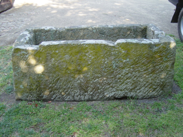 Full-size image