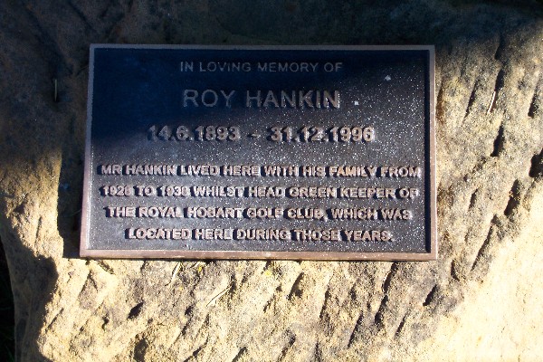 Full-size image