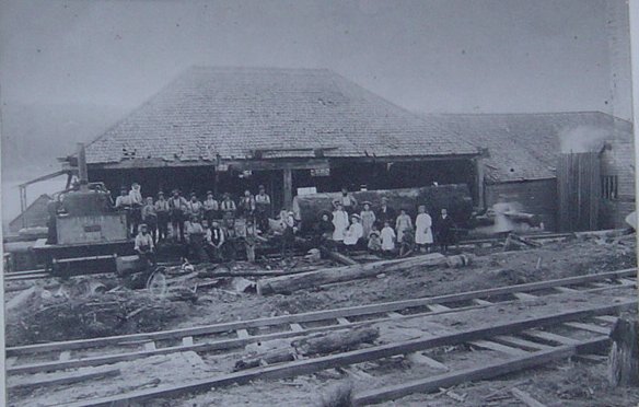 Full-size image