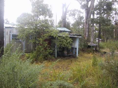 Full-size image