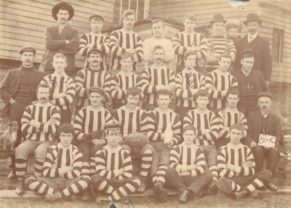 Full-size image