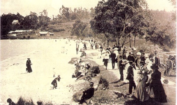 Full-size image