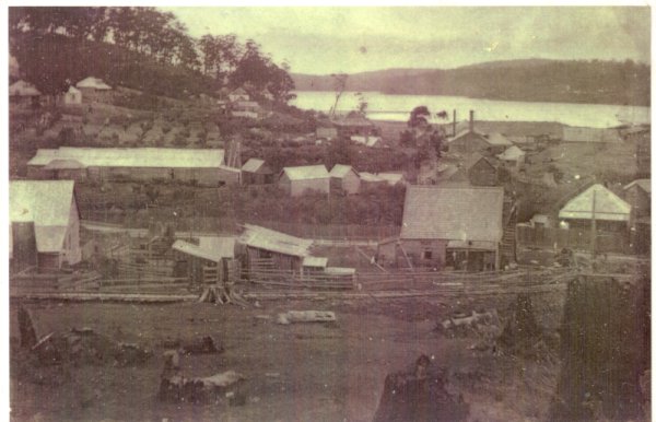 Full-size image