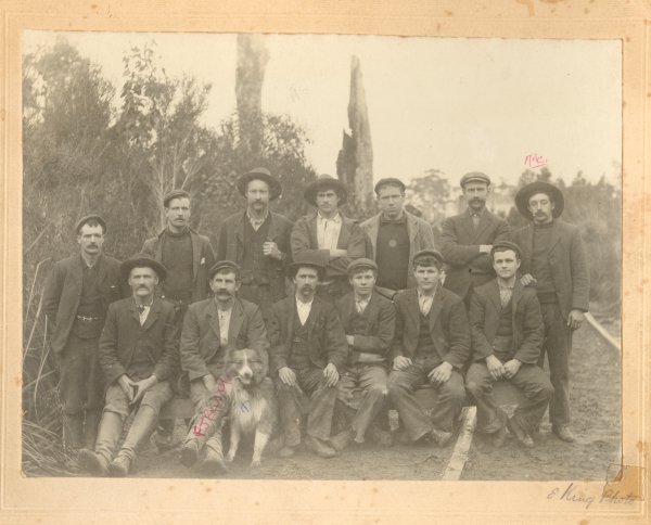 Full-size image