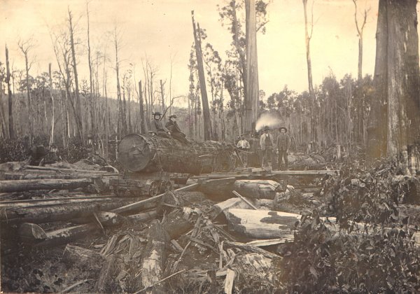 Full-size image
