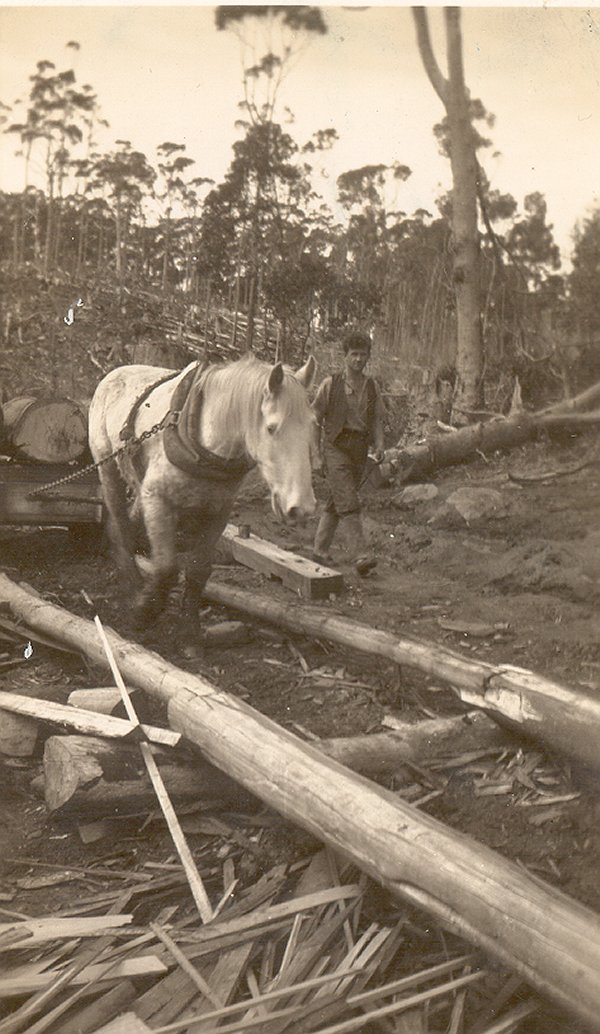 Full-size image