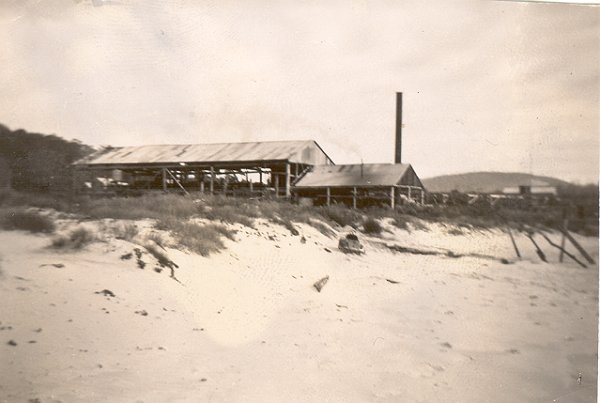Full-size image