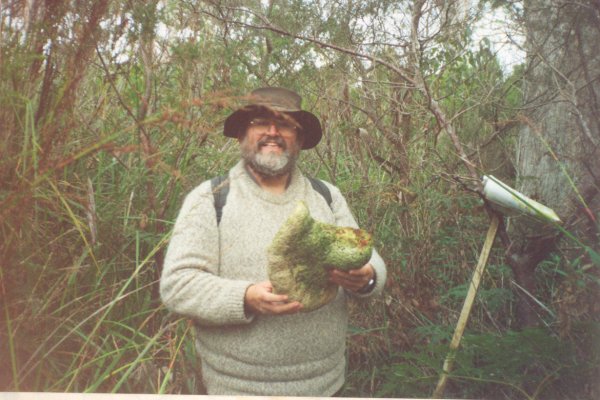 Full-size image