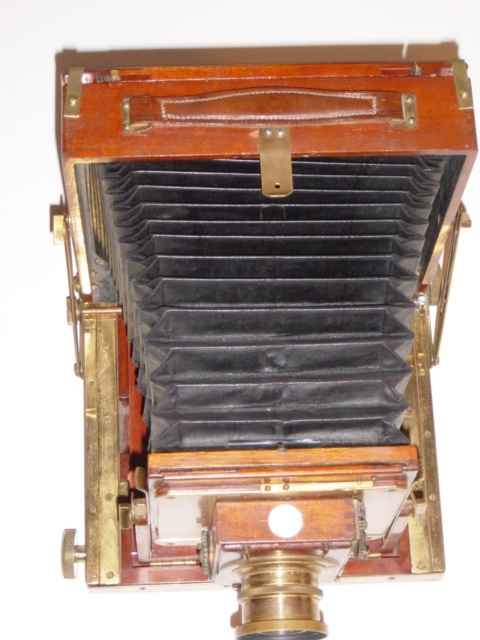 Full-size image