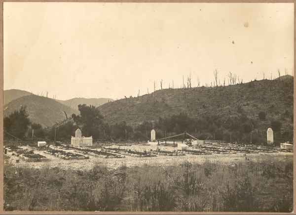 Full-size image
