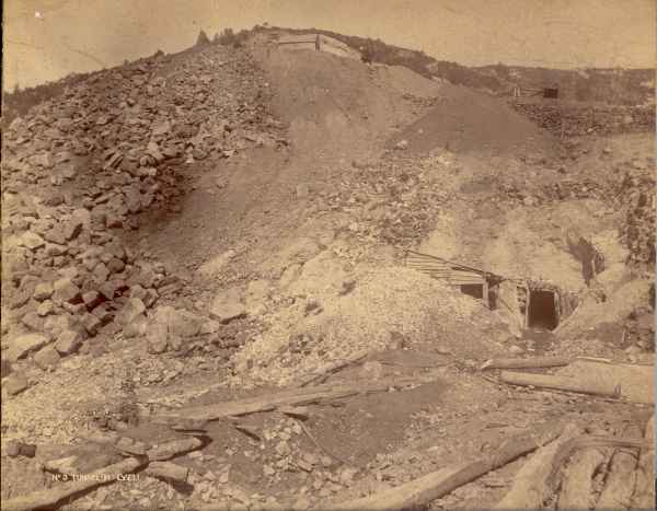Full-size image