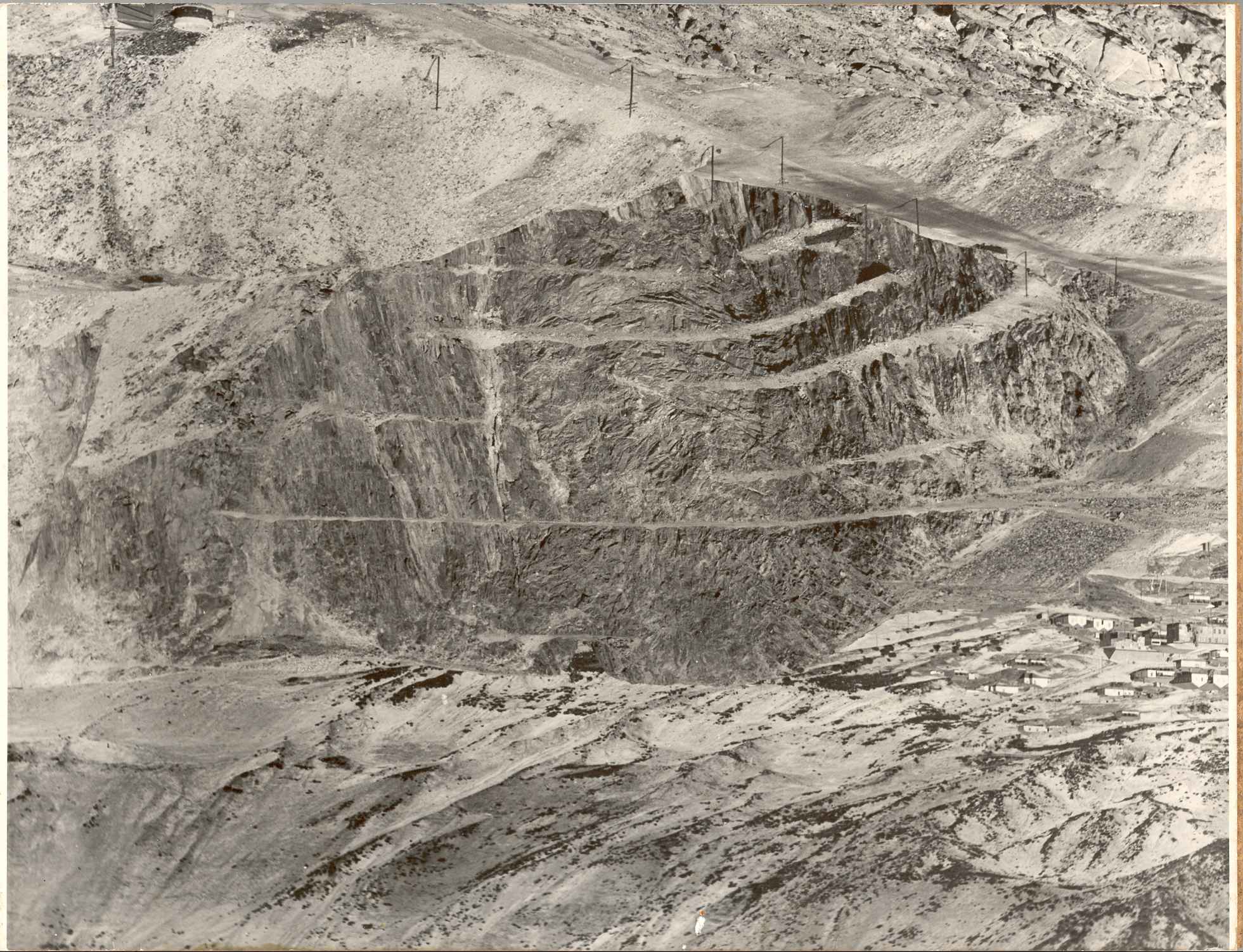 Full-size image
