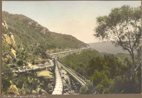 Full-size image