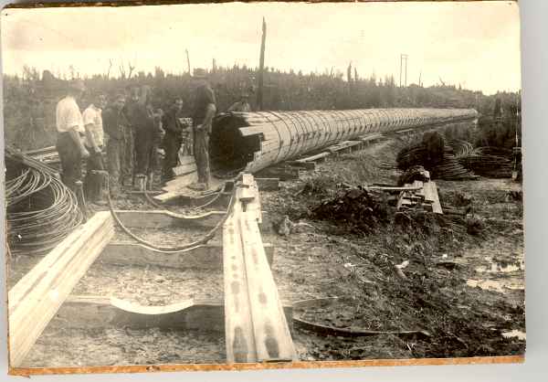 Full-size image
