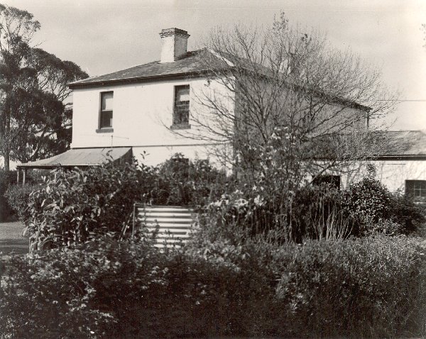 Full-size image
