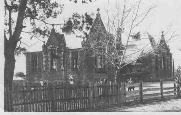 Full-size image